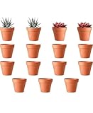 ACTIUSIS Tontöpfe Klein, 15 Stück Mini Blumentopf,5.5 * 5cm Klein Terrakotta Töpfe mit...