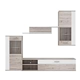 FORTE Hot Shot Wohnwand mit 2 Glastür und 1 Klappe inclusive LED Beleuchtung, Holzwerkstoff,...