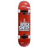 Black Sheep X Todd Francis Sketchy Skate Shop Komplettes Skateboard, Orange, 21 cm