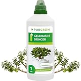 Purgrün® Geldbaum-Dünger | Spurennährstoffe für gesundes Wachstum | Extra Kalium fördert die...