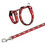 Trixie 6263 Geschirr mit Leine für Kaninchen, Nyon, 25–44 cm/10 mm, 1,25 m farbig sortiert