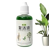 Wurzelstimulator | Organischer Nährstoffdünger Für Wurzeln,50ml Natürlicher Flüssigdünger Für...