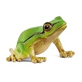 schleich WILD Life | Europäischer Laubfrosch 14882 | detailgetreue Tierfiguren | Zoo Spielzeug |...