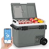 Alpicool 49L Kompressor Kühlbox Elektrisch, Zwei Zonen Kühlschrank Auto Mit APP-Steuerung,...
