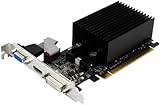 Palit NVIDIA GeForce 210 Grafikkarte (PCI-e, 1GB DDR3 Speicher, DVI, HDMI, 1GPU) passiv