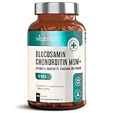 Glucosamin Chondroitin MSM Kapseln hochdosiert – Mit Kurkuma, Vitamin C, Ingwer & Hagebutte –...