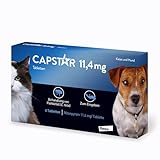 Capstar Tabletten für Katzen und kleine Hunde bis 11 kg, schnell wirksames Mittel gegen Flöhe, 6...