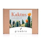 Kaktus, growbro Anzuchtset inkl. Sprühflasche, Geburtstagsgeschenk, Sukkulenten, Geschenke für...