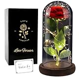FAYODO Die Schöne und das Biest Ewige Rose, Blumen Geschenke für Frauen, Rose in Einer Glaskuppel...