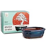 HappySeed Bonsai Schale Keramik (klein) in Marineblau - Bonsai Topf abgerundet für die perfekte...