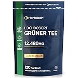 Grüntee Extrakt 12480 mg pro Tagesdosis | 120 Pulver Kapseln | Hochdosiert Green Tea | Vegane | von...