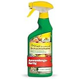 Neudorff BioKraft Grundstoff Schachtelhalm – Anwendungsfertiges Spray gegen Pilzkrankheiten an...