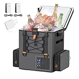 LiTHELi FrozenPack Kompressor Kühlbox 20L, 12V/240V Rucksackkühlschrank für Camping, Reisen,...