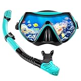 Schnorchelset Erwachsene Trocken mit Maske & Schnorchel Antibeschlag 180°-Panoramablick...