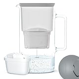 Wessper Wasserfilterkanne aus Glas 2.5 L Kompatibel mit Brita-Wasserfilterkartuschen, Inklusive 1...