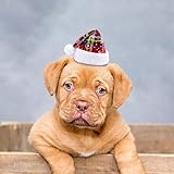 Poo4kark Eleganter Geburtstags Haarschmuck mit Spitzer Verzierung Perlen roter Glitzer verstellbare...