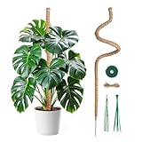 Mcbazel 120CM Monstera rankhilfe Kokosfaser Rankhilfe mit Zubehör, Rankhilfe Monstera,...