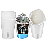 SYITCUN 7.5cm Sukkulenten Töpfe mit Bewässerungssystem,10er Set Plastik Kaktus Pflanze Töpfe Mini...