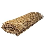 Schilfrohr WERKA PRO Länge 5 m 1 x 5 m