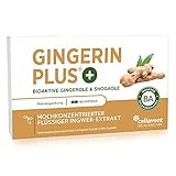 Ingwer Kapseln - Bio Ingwer-Extrakt - flüssig - Gingerol & Shogaol hochdosiert - pharmazeutische...