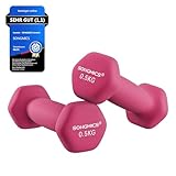 SONGMICS Hanteln 2er Set, 2 x 0,5 kg, Kurzhanteln mit matter Beschichtung aus Neopren, rutschfest,...