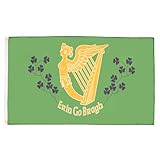 Irland Erin Go Bragh Fahne Leuchtenden Farben Hofflaggen Gartenflaggen Für Bar Deko...