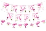 Sursurprise Two Nado Birthday Party Decorations for Girls, Two Nado Banner Pink Tornado Sign,...