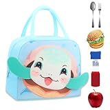 KEWUF Lunchtasche Isolierte, Kühltasche klein, Kleine kühltasche, Kühltasche Faltbar, Tragbar...