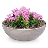 matches21 Pflanzschale für draußen - große Vintage Dekoschale Sand beige marmoriert als...