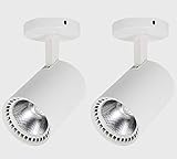 ZENGWEI Deckenstrahler mit verstellbarem Winkel, Oberflächenmontage, Wohnzimmer-LED-Deckenleuchte,...