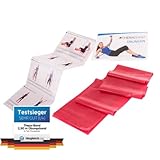 TheraBand Original Fitnessband – 2,5m Resistance Band für Ganzkörpertraining, Kraft &...