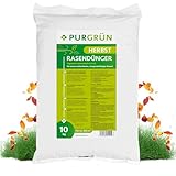 Purgrün® Herbstrasendünger 10 kg für 250 m² – Extra Kalium schützt vor Frostschäden –...