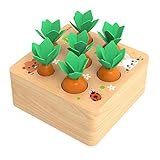 NIWWIN Pädagogische Karotten Ernte Holz Kleinkinder Spielzeug Sortierspiel, Entwicklung Montessori...