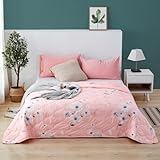 DOTBUY-SHOP Modern Bettüberwurf Doppelseitig Steppdecke Tagesdecke Tagesdecken mit Präge, Sommer...