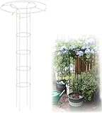 Rankgitter für Ranken und Kletterpflanzen, rostfreier vertikaler Schirmstützkäfig für Blumen und...