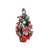 Champion Damen Women Sweatsuit, R3, XL