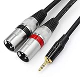 TISINO 3,5 mm auf XLR-Kabel, 3,5 mm auf Stereo-Breakout-Kabel mit zwei XLR-Steckern - 3m