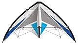 Günther Flugspiele 1036 - Sportlenkdrachen Flash 170 CX, Air Sport Drachen aus reißfestem...
