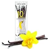 Native Vanilla - Tahitianische Vanilleschoten für Vanilleextrakt 10 Stück 11-14cm hochwertige...