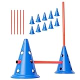 ANISKILLS® - Premium Agility Set - 10 Blaue Kegel 30,5cm hoch, 5 orangene Stangen 80cm lang -...