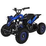 Actionbikes Motors Mini Kinder Elektro Quad ATV RENEBLADE 𝟭𝟬𝟬𝟬 Watt Pocket Quad -...