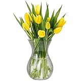 KONZEPT Blumenvase Glas 18 cm Hoch, ⌀ 11 cm, Vase für Tulpen Durchsichtig, Spülmaschinenfest -...