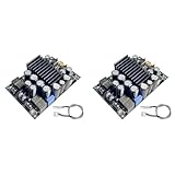 LYNNRICK 2X TPA3255 Fever Level HIFI Digital Amplifier Board 300 W + 300 W...