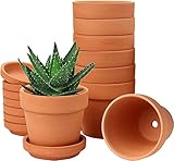 Hollyone 8 Stück kleine Terrakotta Töpfe, 8 X 8 cm rund Blumentopf Ton mit Untersetzer und...