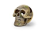 Eden 95228 Totenkopf - Aquariumdekoration, ideales Versteck für Aquariumbewohner, individuelle...