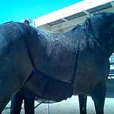 Bauchschutz für – Bauchdecke aus Netzgewebe, atmungsaktiver Schwungwinkel für | verstellbarer...