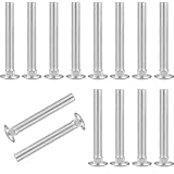 Dayalo 20 Stück Schlossschrauben M8 x 60, Schloßschrauben, Torbandschrauben M6, Verzinkt,...