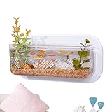 Aquarium, Wandmontage, Blumenvase, umgeben von einer kleinen Wand, dekorativ, kompakt, für...