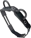 Brama West Voltigiergurt Reitgurt mit Zwei Griffen aus Neopren - geeignet auch als Longiergurt...