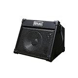 Coolmusic BP40 40W Batteriebetriebener tragbarer Akustikgitarrenverstärker, für Interpreten...